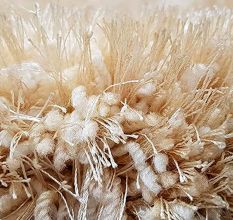 Plush Cream Textured Living Rug